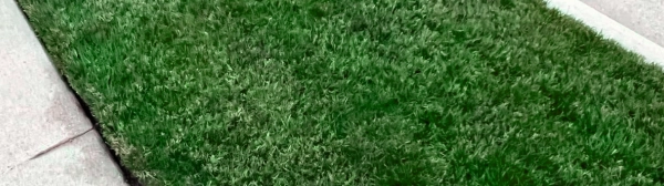 Stays Vibrant for Up to 3 Months 