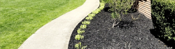 Supports Clean, Stable Mulch Coverage