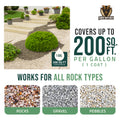 RTU Rock Glue Max 600 Sq.ft Coverage Kit