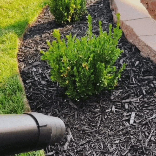 Mulch bed preparation
