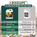 RTU Rock Glue Max 600 Sq.ft Coverage Kit