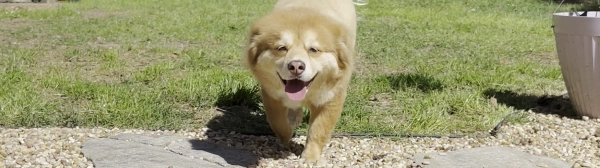 Safe & Non-Toxic Once Dry — Family-Friendly Formula