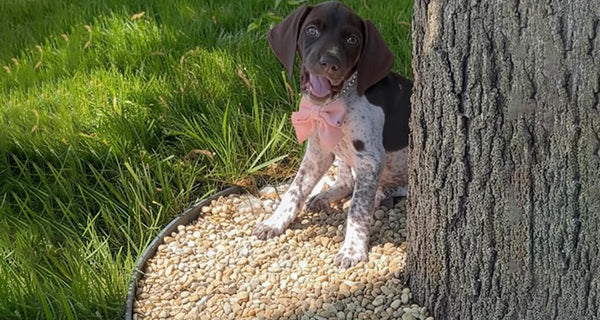 Safe & Non-Toxic Once Dry — Family-Friendly Formula