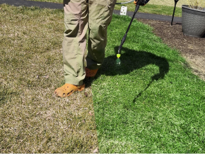 FADED LAWN. FIXED FAST. 