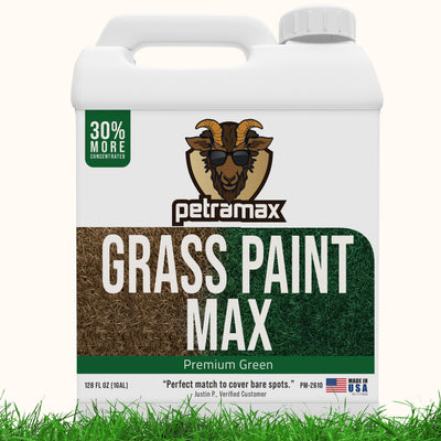 Grass Paint Max