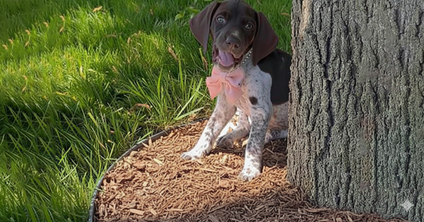 Safe & Non-Toxic Once Dry, Family-Friendly Formula