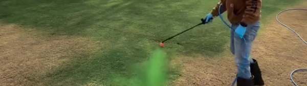 Instant Green Coverage for 10,000 Sq. Ft.